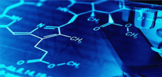 How Electricity Powers Life: The Chemistry of the Human Body